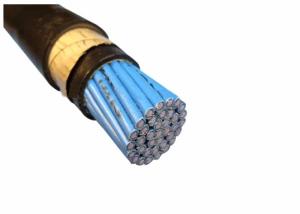 Wholesale Multicores Copper Conductor PVC Sheathed Control Cables Steel Tape Armoured Cable 450/750V from china suppliers