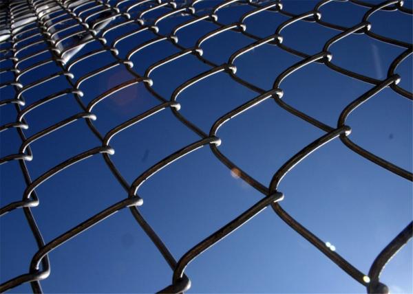 Green PVC Coated Garden Fence, pvc coated diamond wire mesh, Green PVC Coated