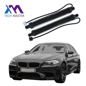 Wholesale 51247207009 51247207010 Auto Parts Power Liftgate Electric Tailgate Strut For BMW 5series F10 F18 2011-2016 LH RH from china suppliers
