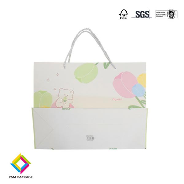 Clothing Paper Bag Custom Printed Takeaway Shopping Paper Bag Craft Paper Gift