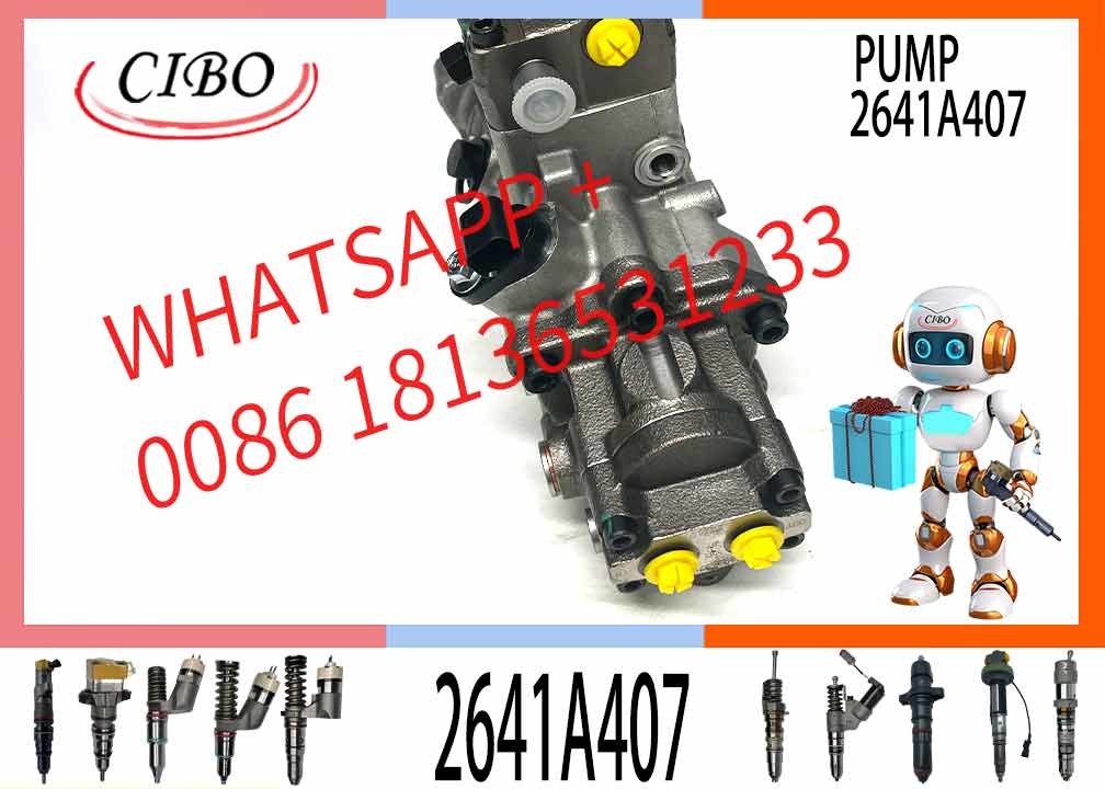 Fuel Injection Pump 368-9171 2641A407 For 320D 321D 323D C6.4 MADE INCHINA