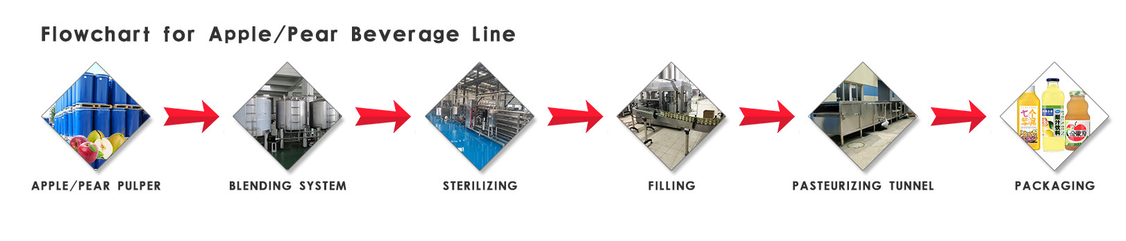 Professional Fruit Processing Line Apple And Pear Juice Production Machine