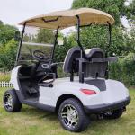 48V 150AH Lead Acid Battery Off-Road Tire Golf Cart With Smart Car Charger And