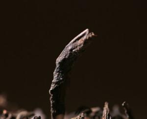Wholesale Anti - Oxidation Anhua Black Tea Brick 1000g , Cloth Bag Anhua Black Tea from china suppliers