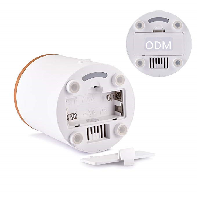 Mini Waterless Bamboo Fragrance Diffuser For Car