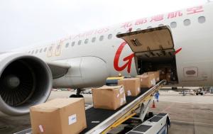 Wholesale China To Malaysia Logistics COD By Air Small Package from china suppliers