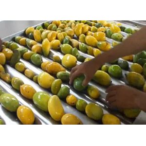 Wholesale Advanced Dried Mango Processing Machine / Commercial Mango Drying Machine from china suppliers