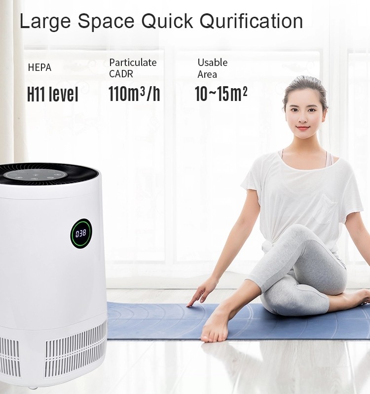 EMC PP Pre Filter 15w 3million Anion HEPA Air Purifier