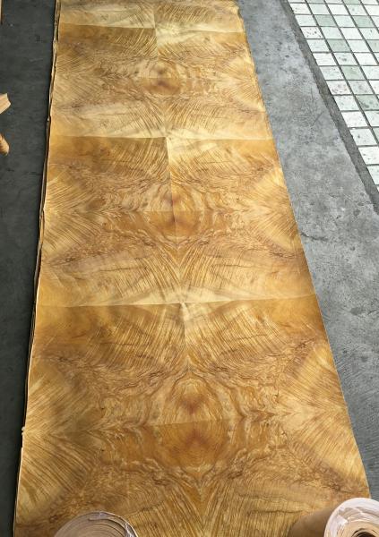 Golden Phoebe Burl Paper Back Veneer | Paper Backing Golden Phoebe Burl Veneer