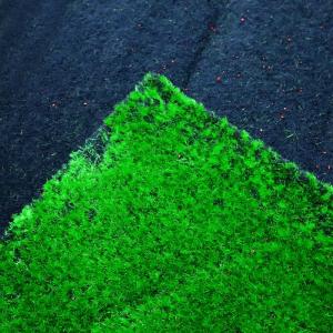 Wholesale Home Soft Artificial Moss Grass Mat Wall 3mm Decoration Green from china suppliers