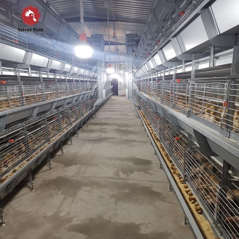 Fully Automatic Broiler Chicken Poultry Cage Farm Equipment H Type Animal