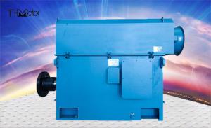 Wholesale YXKK 1250kw High Pressure Squirrel Cage Motors IP54 IP44 IP55 from china suppliers