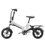 48V 12.8Ah Lithium Battery 20 Inch Multicolored Electric Bike with Down Tube