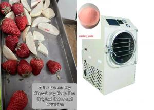 Wholesale Food Fruit Vegetable Mini Freeze Dryer For Home Use from china suppliers