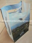 Die cut handle bag for shopping／Pe Die Cut Handle Bagsplastic Bags