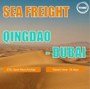 Wholesale International Professional FCL LCL Sea Freight Forwarder to Dubai From China from china suppliers