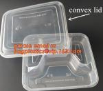 Restaurant Take Away Bento Boxes, Division Food Prep Disposable, Portion