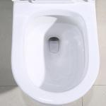 19 Inch Tall Elongated One Piece Floor Mounted Toilet 15 Inch