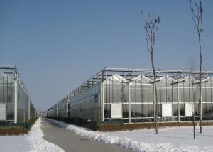Wholesale PC Sheet Covered Multi Span Greenhouse Venlo Type Strong Light Transmission from china suppliers