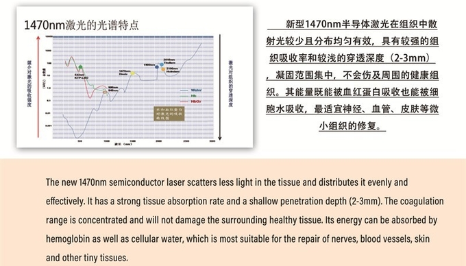Hospital Vascular Removal Diode Laser 980 1470 Nm Hemorrhoid Machine