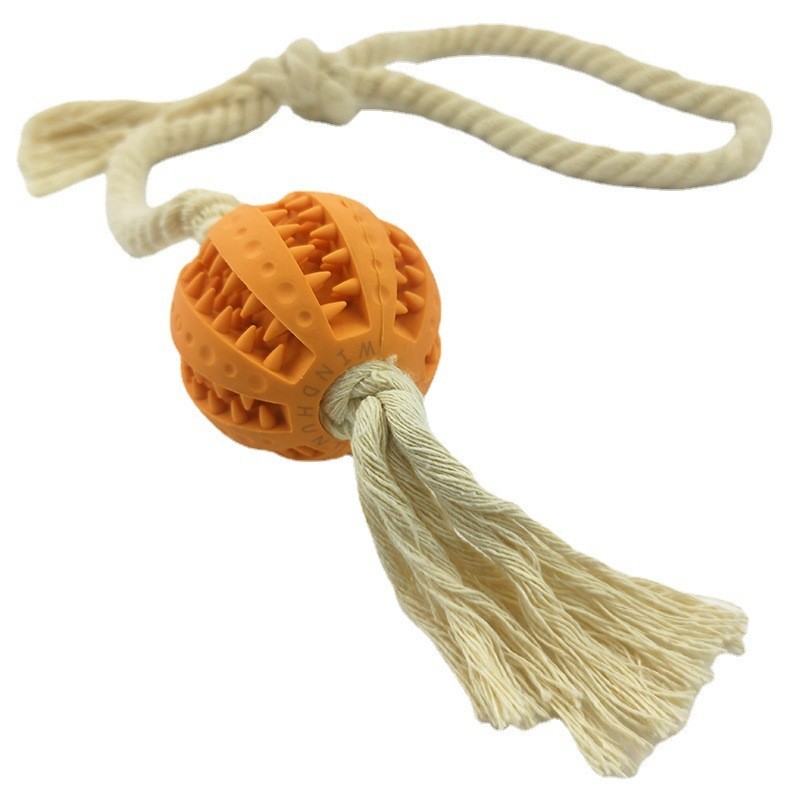 chew proof dog ball
