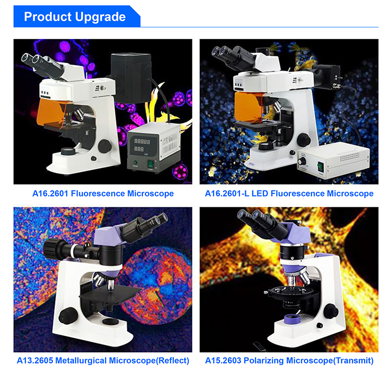High Power Compound Optical Microscope For Students , WF10X - 18mm A12.2601