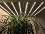 High Performance 680W 750nm White Grow Light