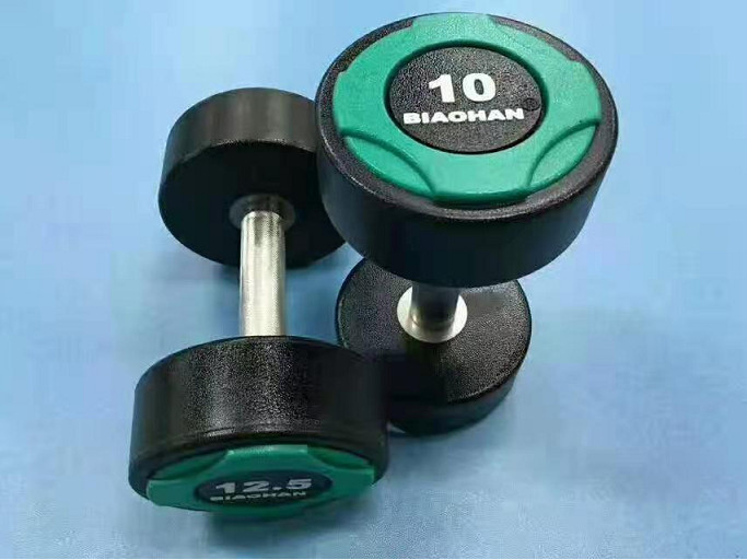 10LBS Gym Fitness Dumbbell PU Round Hex Head Dumbbells For Home Exercise