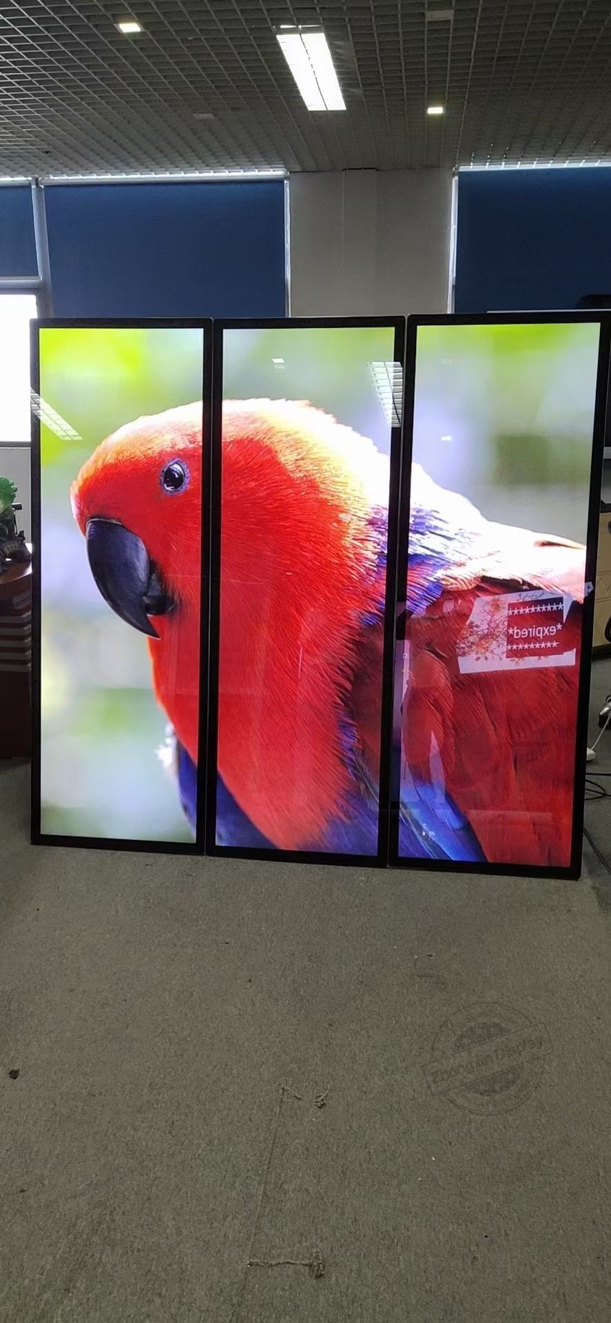 75inch Full screen vertical lcd display IR touch LCD Display floor stand digital signage Android Windows OS
