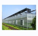 4m Bay Width Multi Span Greenhouse Agricultural Cover Material Super Strong