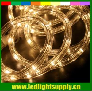Wholesale led neon light dimmer warm white 2 wire christmas rope lights from china suppliers