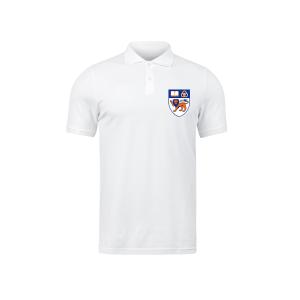 Wholesale Quick Dry University Polo Promotion Polo with Custom Logo Printing from china suppliers