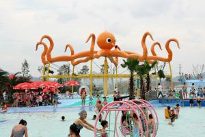 Wholesale Customized 8m Height Octopus Spray For Aqua Water Playground Equipment from china suppliers