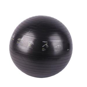 Wholesale 65 Cm Stability PVC Yoga Ball Waterproof Anti Slipping Ecofriendly from china suppliers