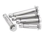 ISO Standard High Strength M8 M20 M36 Stainless Steel SS304 SS316 Wedge Anchor