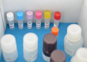 Wholesale Rapid Quantitative Vitamin Test Kit Vitamin B12 ELISA Test Kit For Research from china suppliers