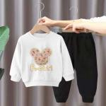 Boys And Girls Children'S Long Sleeve Set Cartoon Pattern