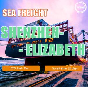 Wholesale Shenzhen To Elizabeth South Africa International Sea Freight Logistics 26 Days from china suppliers