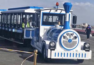Wholesale 72 Seat Electric Trackless Train Kids Party Train Hand Painted Technics from china suppliers