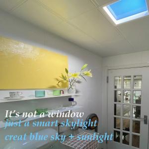 Wholesale UV Free LED Faux Skylight Panels Artificial Daylight Circadian Rhythm Blue Sky Therapy from china suppliers