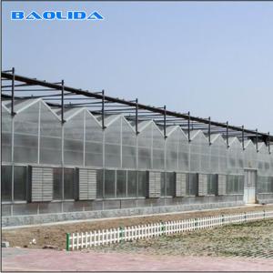 Wholesale Agricultural Venlo Style Greenhouse Flower Growth Good Waterproof Anti Age from china suppliers