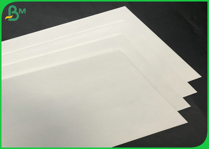 absorbent paper