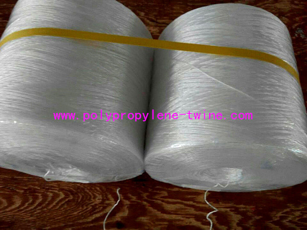 Z Twisted Polypropylene Twine , Greenhouse Garden Tying Twine UV Treated