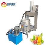 300L Hydraulic Cold Pressed Juicer for Winery and Food Shop Juice Extraction