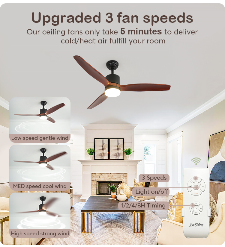 ceiling fan