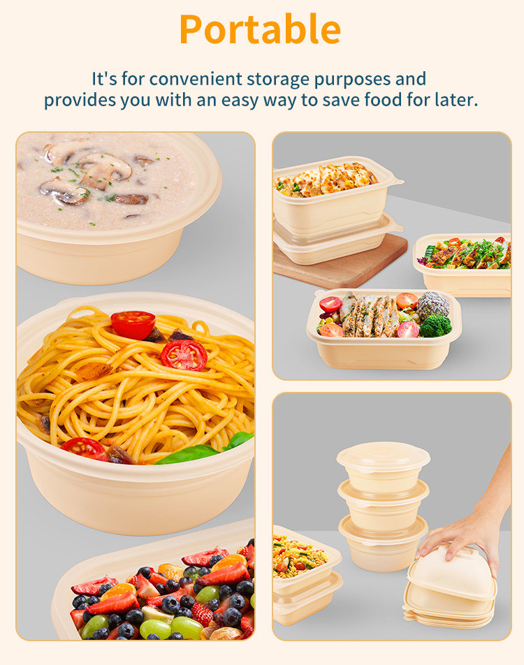 The new design of take-out food packaging lunch box corn starch 500ml rectangular food container