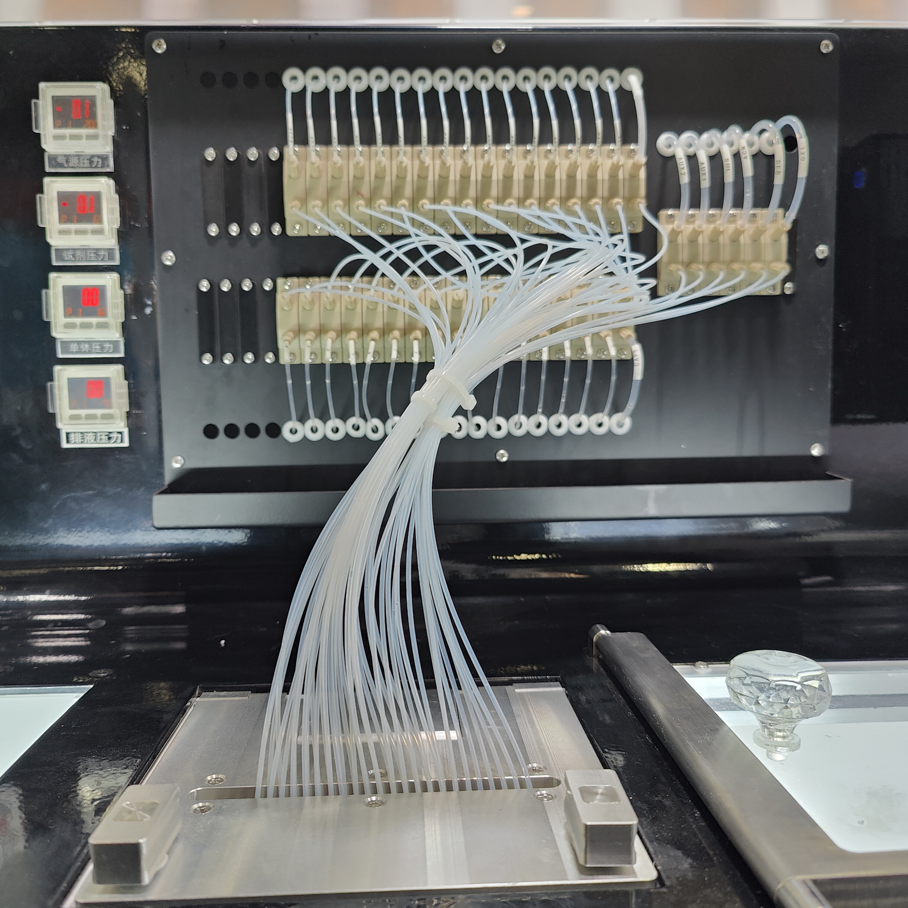 12 Channel Oligonucleotide Primers Synthesis DNA RNA Synthesizer with Optional Trityl Monitor