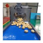 Customizable Potato Crisps Production Line for Industrial Snack Food Manufacturi