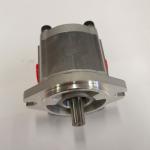 Portable Stainless Steel Electric 110V 220V Gear Pump for Food Grade Lube Oil