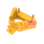 Lifelike Dental Prosthetics Gum Resin Implant Mockups Dental Model Resin